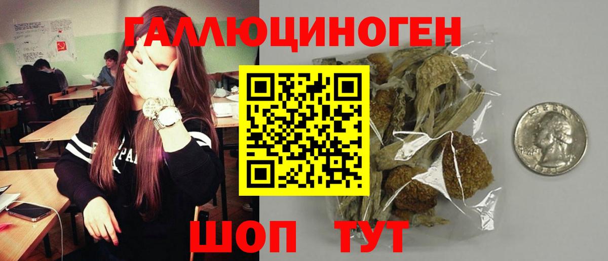 даркнет сайт  Псилоцибиновые грибы GOLDEN TEACHER  Вход с VPN  Краснодар 